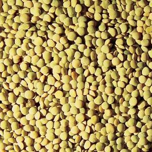 Köy Yeşil Mercimek (5- 5,5 mm)